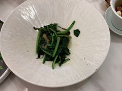 -喜鼎海胆水饺(平安金融中心店)