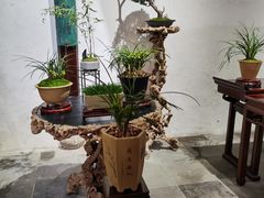 -沧浪亭