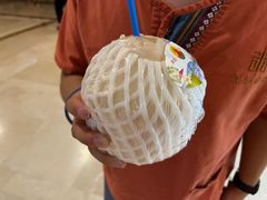 -东吴水韵(吴中店)