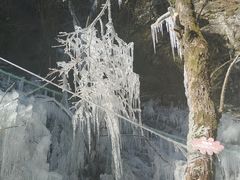 -青峰峡国家森林公园