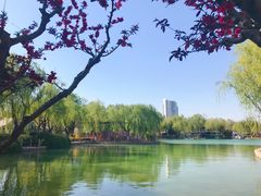 -康庄公园