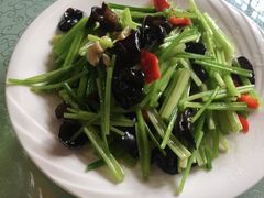 -慈海素食馆