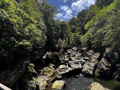 -龙苍沟森林公园