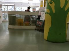-温州牙科医院