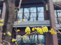 -西安国际创新人才交流中心•药浴温泉
