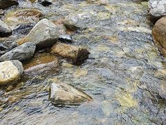 -少华山国家森林公园