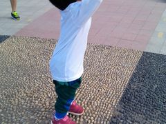 -长春公园(普阳街道)