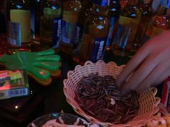 -斯卡拉演艺集团