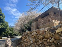 -广州市流溪河国家森林公园