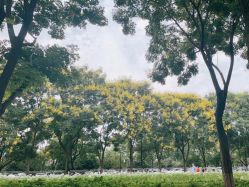 -玄武湖景区-情侣园游乐场