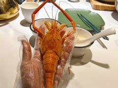 -金筷子•广东味道万宴城•火锅(裕华东路店)