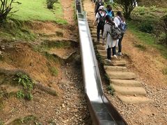 -岚山猴子公园