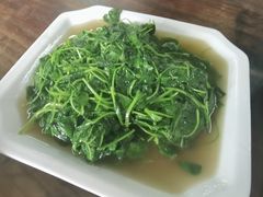 -吾介小籠館
