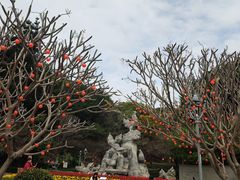 -金鸡山公园
