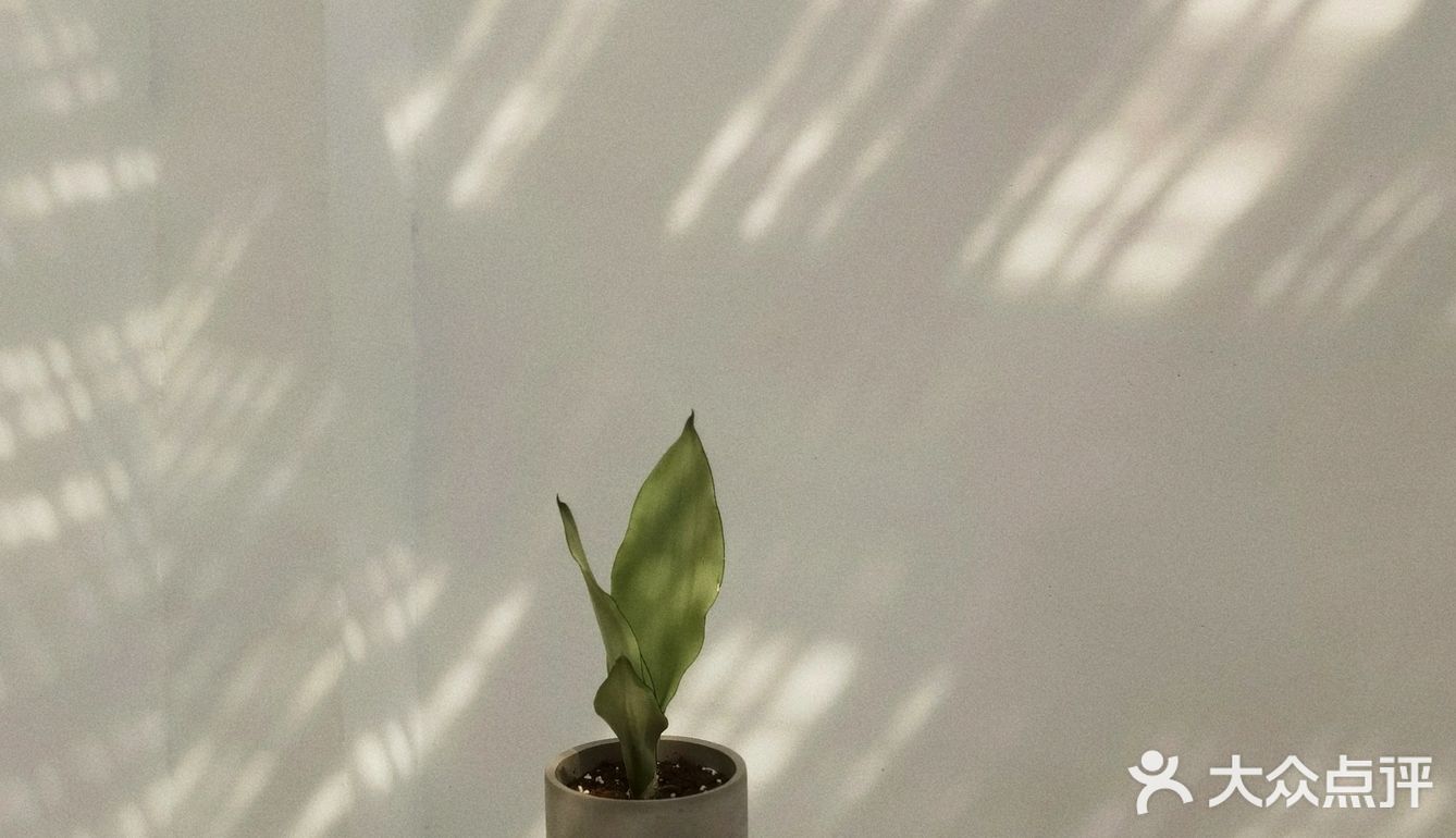 简约白墙风咖啡店🍂