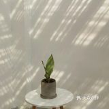 简约白墙风咖啡店🍂