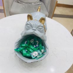 -伊丽莎白医疗美容