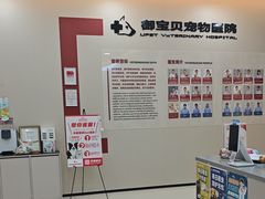 -御宝贝24h宠物医院·转诊中心·CT核磁血透中心(厦门总院)