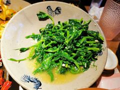 豌豆尖-酒阳蒸经小酒馆(解放碑店)
