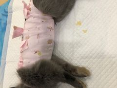 -美迦爱-牙专科·兔科·骨科诊疗中心(北苑店)