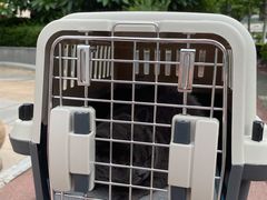 -瑞派康怡24h宠物医院·犬猫医疗中心·微创绝育(瑞景分院)