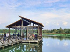 -溱湖国家湿地公园