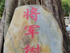 -高榜山景区