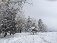-雪谷