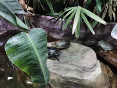 -上海大自然野生昆虫馆(东方明珠·爬宠昆虫探索中心)
