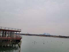 -贡湖湾湿地公园