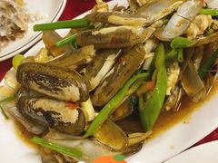 -蛇口康乐快餐鱼仔档(翠苑小区店)
