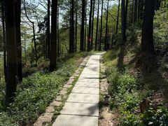 -莫干山风景区