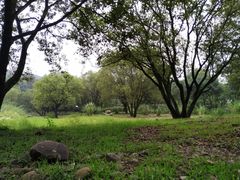 -中国茶叶博物馆(双峰馆区)