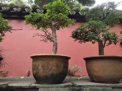 -成都武侯祠博物馆