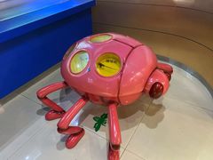 -上海昆虫博物馆