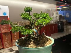 -观宴·品质赣菜(高新大道店)