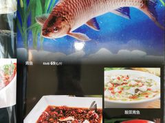-胖大姐黄辣丁鱼庄(新津店)