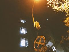 -武汉大学-樱园