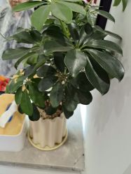 -LJOY丽锦造型·烫发染发