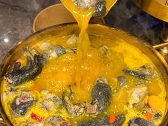 -Darling Queen·Mini·Live·House