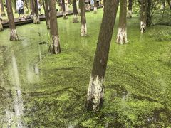 -艾溪湖湿地公园