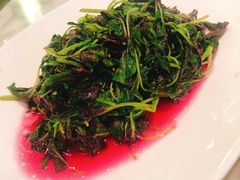 -蝶园·装修中(BFC外滩金融中心店)