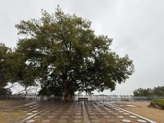 -东钱湖旅游度假区