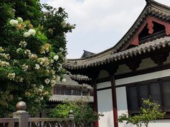 -常熟方塔园