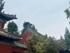-洛阳白马寺