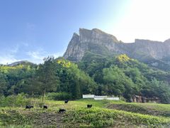 -鹿院坪生态旅游景区