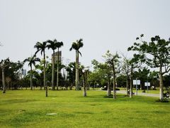 -万绿园