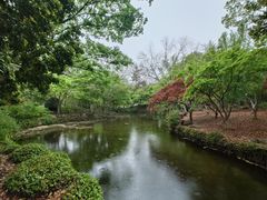 -秋霞圃