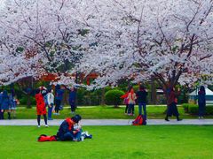 -复旦大学光华楼