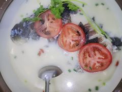 -全乐鱼馆·淳牌有机鱼直营店